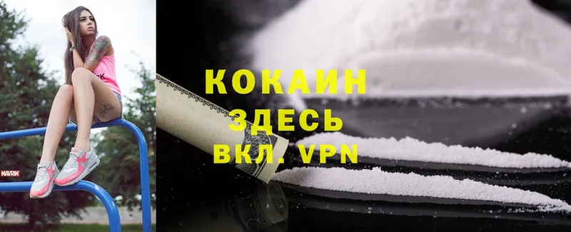 mega как войти  купить   Бирюсинск  Cocaine FishScale 